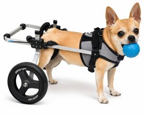 K9 Carts Dog Wheelchair