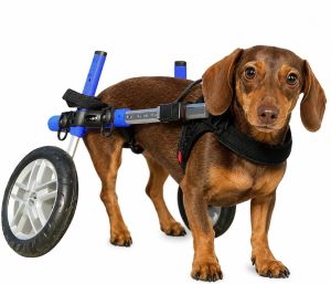 Walkin Wheels Dog Wheelchair